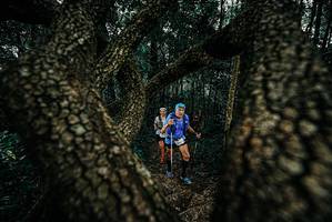 BIB: 
                            <button type="button" onclick="openModal(25678294)" class="btn btn-primary btn-sm float-right btn-popup" data-toggle="modal" data-target=".modal-high-quality">
                        <i class="fas fa-shopping-cart"></i> Add to Cart
                    </button>
                                            <button type="button" onclick="isThisMe(25678294, true)" class="btn btn-success btn-sm float-right btn-popup btn-isme hidden" data-toggle="tooltip" data-placement="bottom" title="นี่คือรูปของคุณใช่ไหม คลิกที่นี่เพื่อเอาเข้าอัลบั้ม">
                        <i class="fas fa-plus"></i> Add to album
                    </button>
                    <button type="button" onclick="isThisMe(25678294, false)" class="btn btn-warning btn-sm float-right btn-popup btn-isnotme hidden">
                        <i class="fas fa-ban"></i> Remove from album
                    </button>